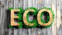 All Eco-Friendly