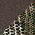 Realtree Edge / Brown