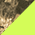 Mossy Oak Break Up Country / Neon Yellow